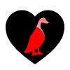 Ducks