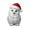 Weise Schnee Eule in Weihnachtsstimmung