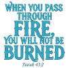 Fire without burning you Isaiah 43:2