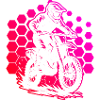 Motorcycle racer in hex pattern