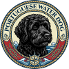 Portuguese Water Dog - Portie