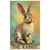 Bunny Bunny