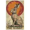 Bunny Bunny