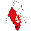 Tyrol Province Flag