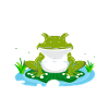 Frog Catcher Grandmaster Frog Snagger Frog