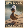 Spa Duck at Lake Louise