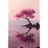 Blush Blossom Shore Reflections