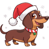 Chien Teckel Noël bonnet Santa
