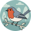 robin