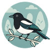 Magpie