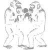 Chimp Boxing Team