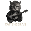 Cat musician with guitar