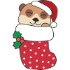 Cute meerkat in Christmas sock too