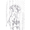 Chien gris avec rayures étoilées