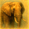 Golden Elephant in Painted Style