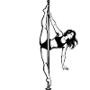 Pole Dance Poledancerin edel akrobatisch Geschenk