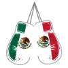Mexico Flags Boxing Gloves