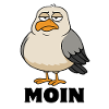 Seagull - Moin - North Sea - Gift