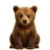 Bébé ours en fourrure brune douce