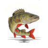 Petri Heil – Perch Power