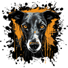 Dog Portrait Splash Art