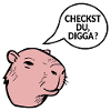Tu vérifies Digga