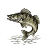 Petri Heil – Zanderjäger