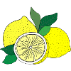 Citrus Print