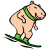 Funny Capybara Kids Skiing
