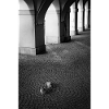 Shadows of the bows and pigeons