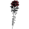 Palästina Schwarze Rose