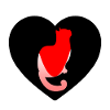 Katze