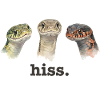 Snake Funny Snake Lover Lusti