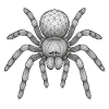 Geometric Tarantula Icon