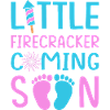 4. Juli Gender Reveal Schwangerschaft