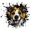 Portrait de Beagle Spritz