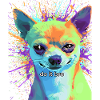 Pop-Art Chihuahua "Do It Bro"