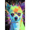 Chihuahua Pop-Art Bunt 