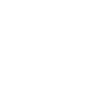 Raccoon Meme