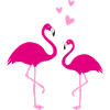 Flamingos Liebe Duo