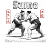 Combattants japonais de sumo