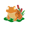 Frog Catcher Toad Tracker Expert Frog