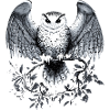 Magical Snow Ule