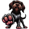 German Wirehaired German Wirehaired Owner
