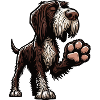 German Wirehaired German Wirehaired Owner