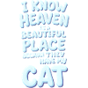 Funérailles de chat