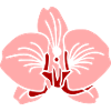 Pink Orchid Line Art