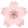 Blush Cherry Bloom