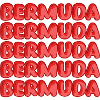 Reise Bermuda