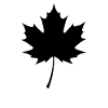 Maple Leaf Silhouette – Natural Minimalism